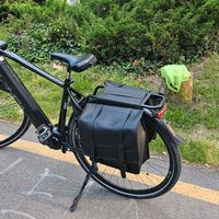 bicicletta pedalata assistita