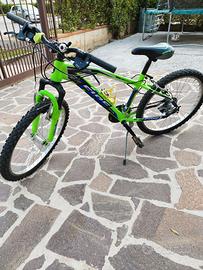 bicicletta 