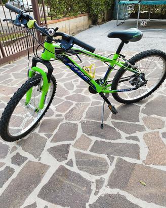 bicicletta 