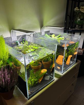 Acquario 45 litri