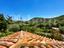 Immagine 29