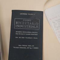 libro antico (ricettario industriale)