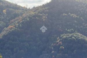 TER. AGRICOLO A FALCONARA ALBANESE