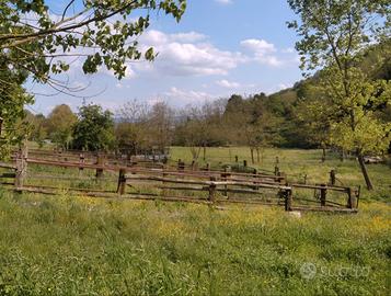 Offriamo terreno per apicoltura
