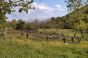 Offriamo terreno per apicoltura