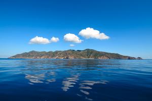 CAPRAIA ISOLA uno sperduto PARADISO ECOLOGICO