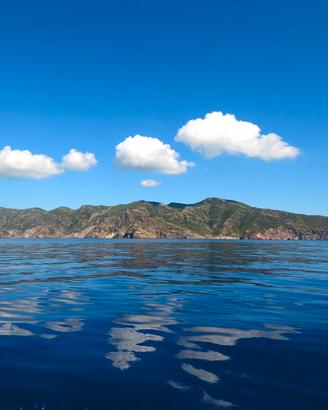 CAPRAIA ISOLA uno sperduto PARADISO ECOLOGICO