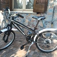 bici bottecchia