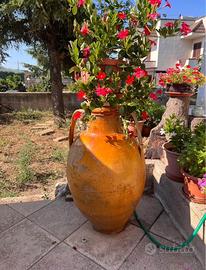 Capasone anfora pugliese