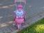 Immagine 3