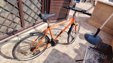 mountain bike 