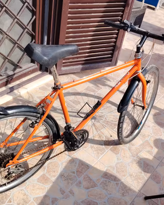 mountain bike 