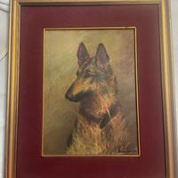 Unico blocco varie chi ritira subito 800€