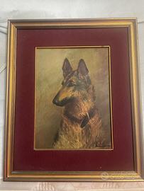 Unico blocco varie chi ritira subito 800€