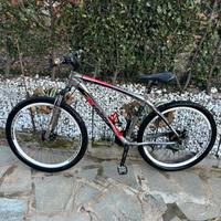 Mountain bike