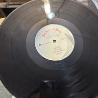 Vinile LAME DI LUCE disco