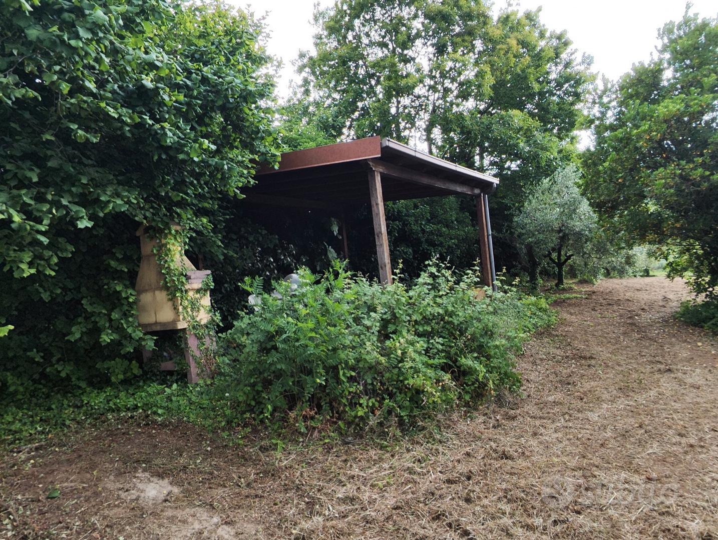 Terreno agricolo - Vista 2