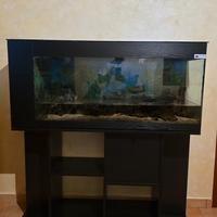 Acquario 300 litri lordi