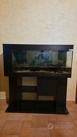 Acquario 300 litri lordi