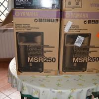 Coppia di casse 250 W + Console Dj Yamaha