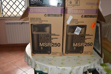 Coppia di casse 250 W + Console Dj Yamaha
