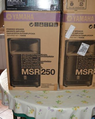 Coppia di casse 250 W + Console Dj Yamaha