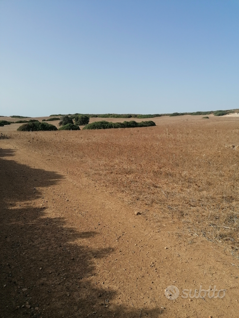 Vendita terreno agricolo Calasetta - Vista 3