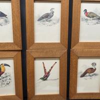 quadretti su cartoncino