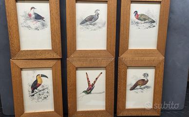 quadretti su cartoncino