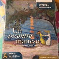 Un incontro inatteso