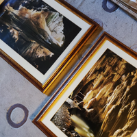 Coppia di quadri a tema