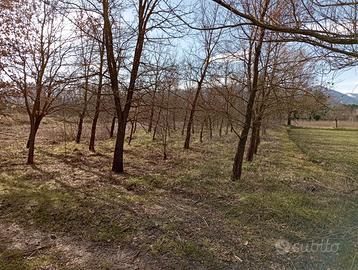 Terreni e tartufaia a Sulmona