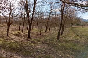 Terreni e tartufaia a Sulmona