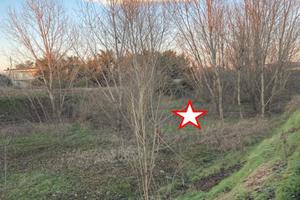 RGE 242/2024 Tribunale Verona