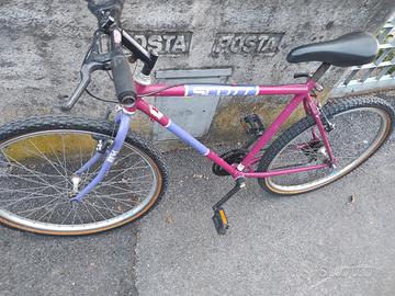 Mountain Bike SCOTT Vintage Adventure Telaio Peak