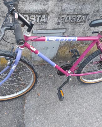 Mountain Bike SCOTT Vintage Adventure Telaio Peak