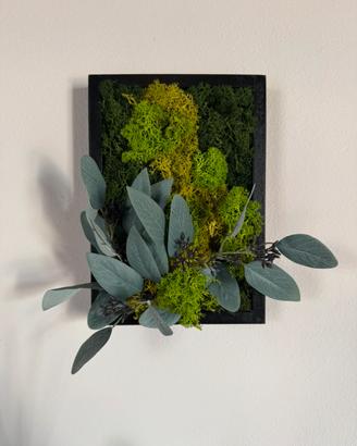 Quadro stabilizzato