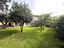 Immagine 25