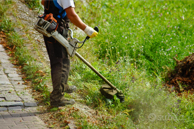 Tagliare erba con decespugliatore