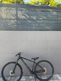 Bici