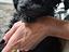 Immagine 1