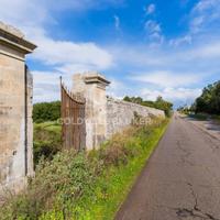 Terreno agricolo - Scorrano