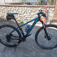 MTB Torpado Ribot N in carbonio