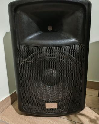 Casse professionali 300w