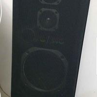 Subwoofer da 60 Watt 
