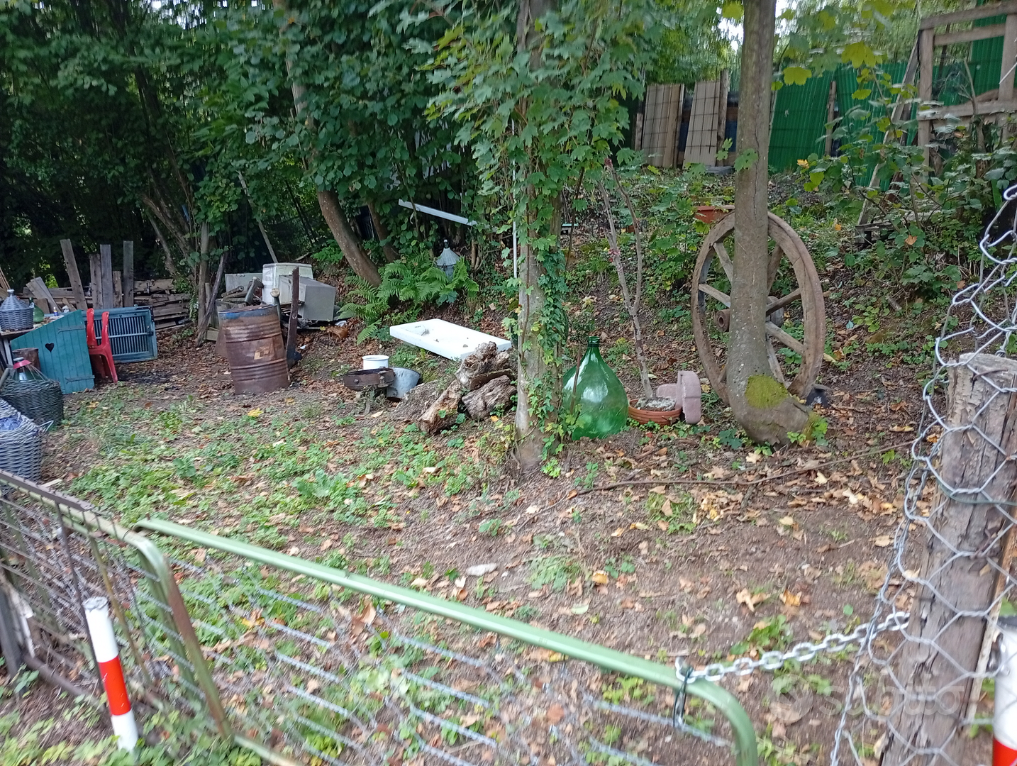 Terreni agricoli in dono - Vista 4