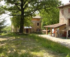 Casale rustico con terreno