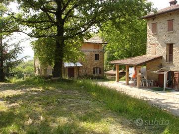 Casale rustico con terreno