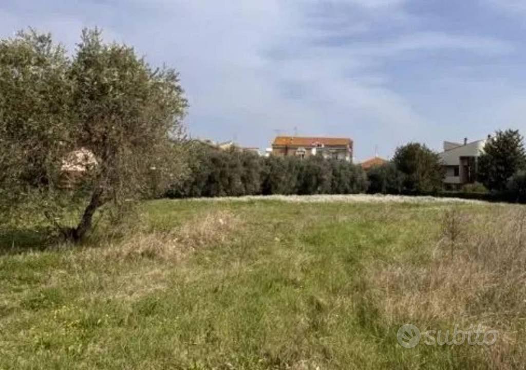 Immobile in asta di 3883 m² a Morro d'Oro - Altro