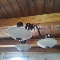 Lampadario e piantana